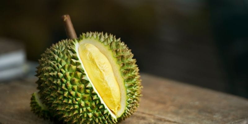 buah durian